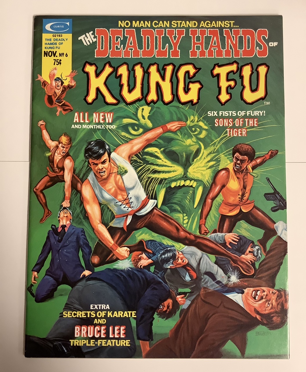 Deadly Hands of Kung Fu #6 VF Front Cover