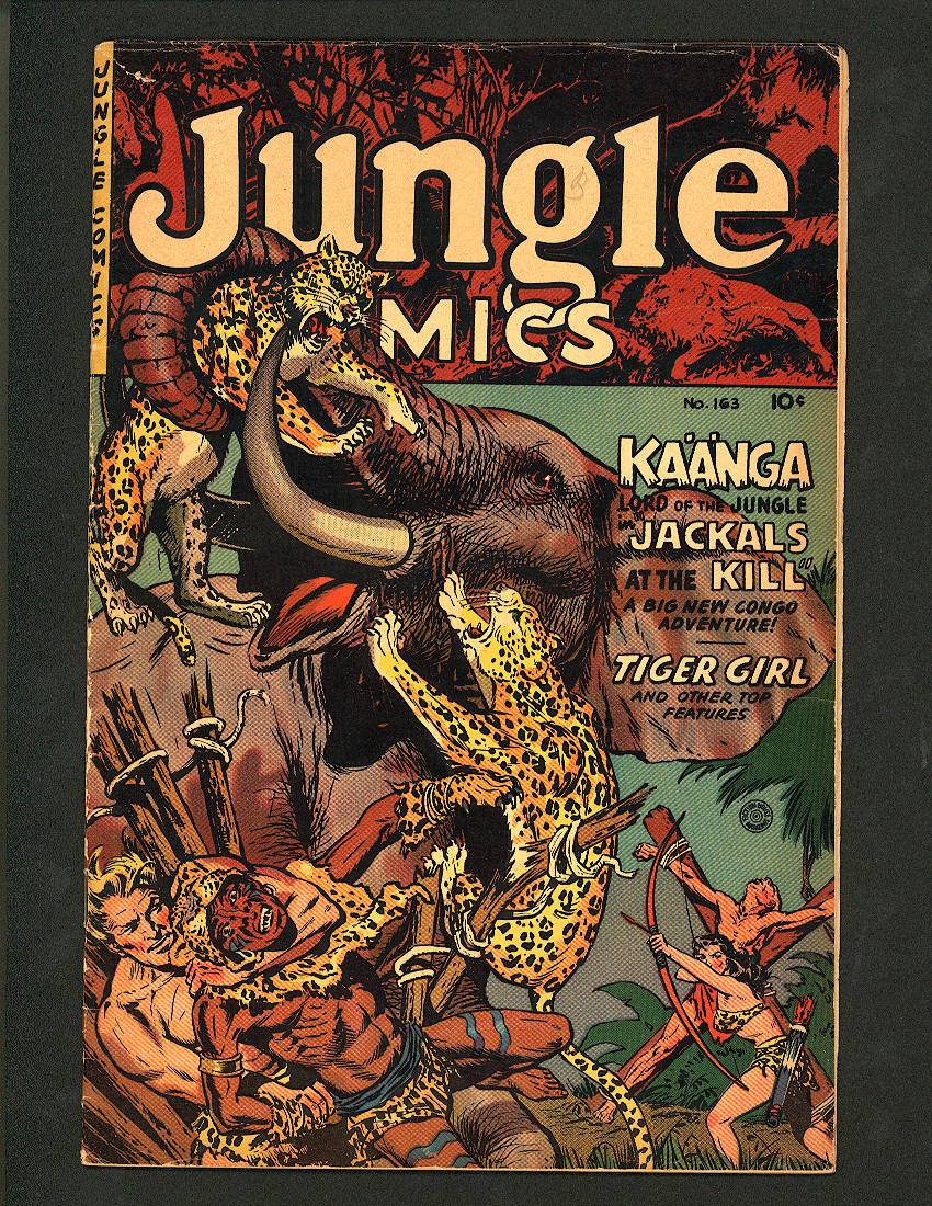 Cover of Jungle Comics #163