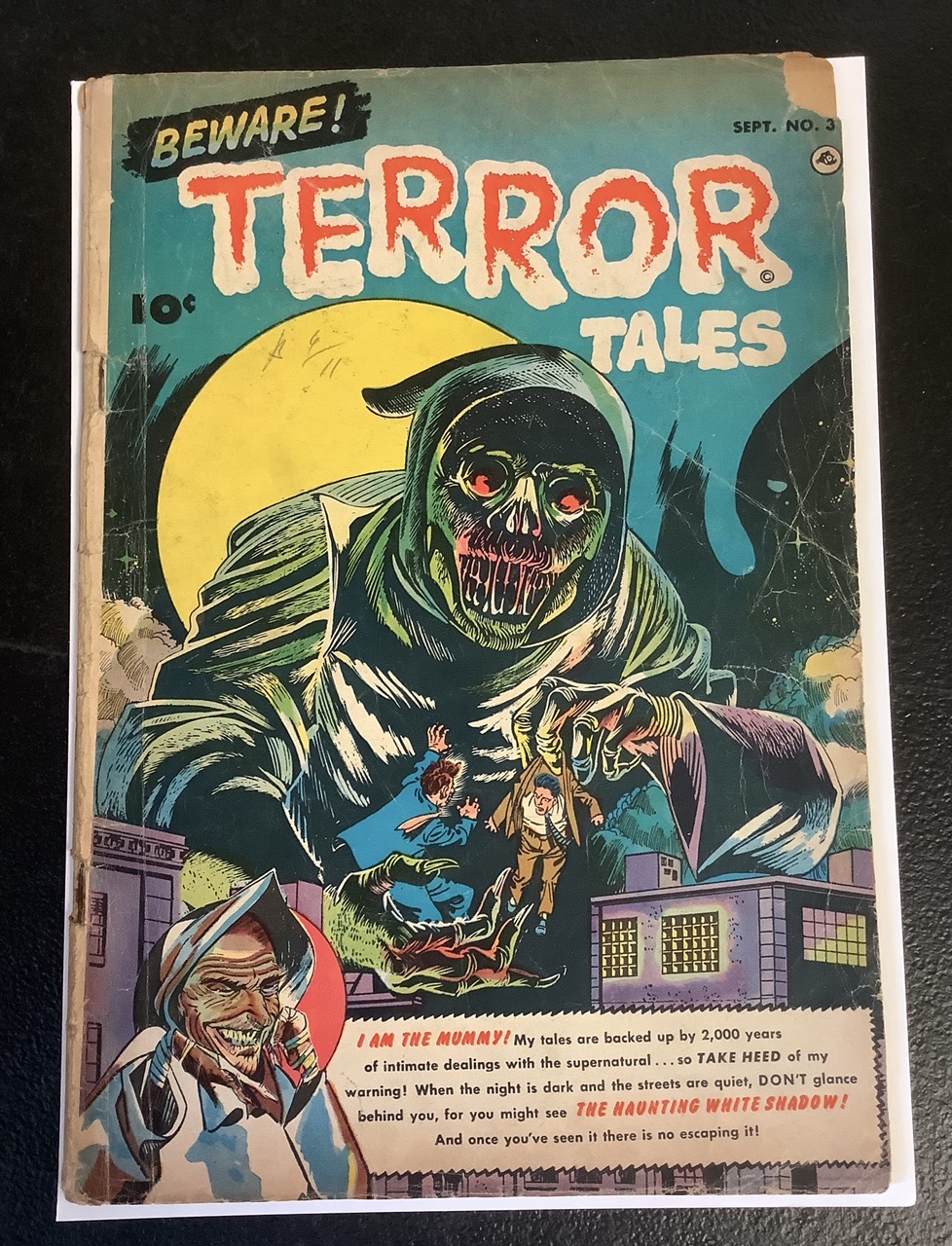Beware! Terror Tales #3 G Front Cover