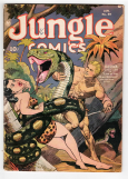 Cover of Jungle Comics #49