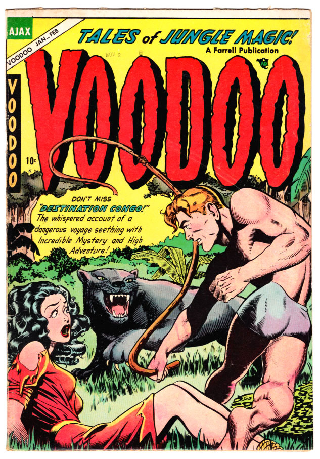 Voodoo #19 F+ Front Cover